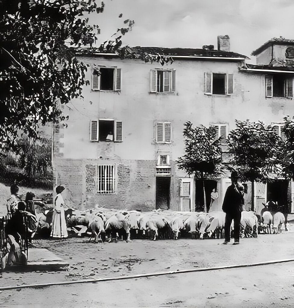 Transumanza, Wikipedia Commons P.D., Chianti