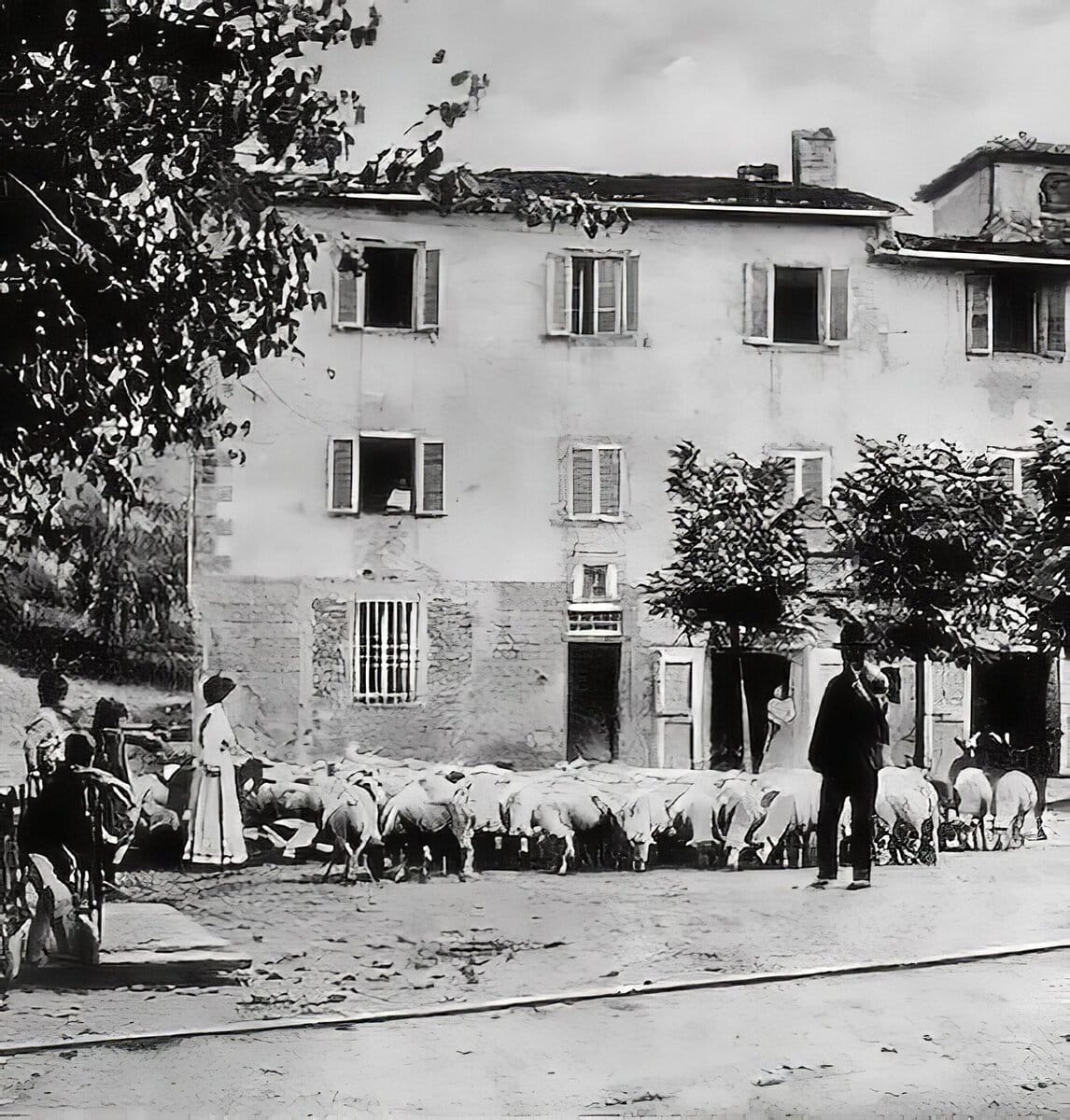Transumanza, Wikipedia Commons P.D., Chianti